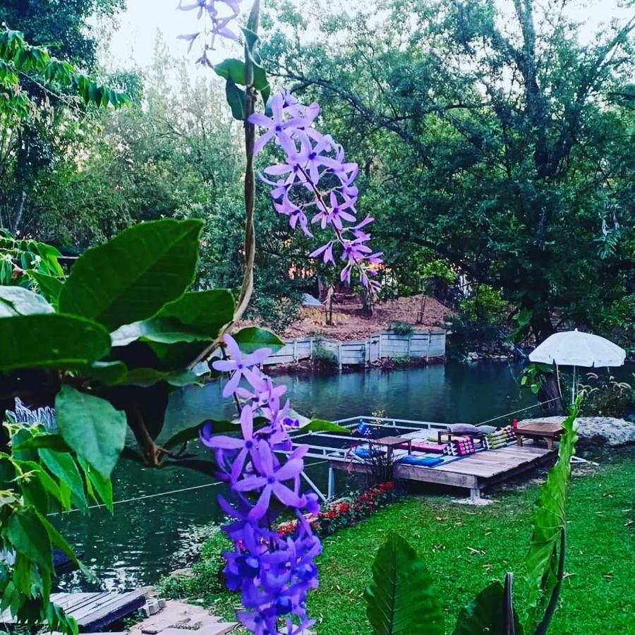 Вілла Brookhouse At Khaoyai Ban Khanong Phra Klang Екстер'єр фото